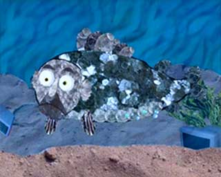 Evolution for Beginners