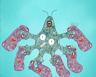 Humboldt, Love Hurts